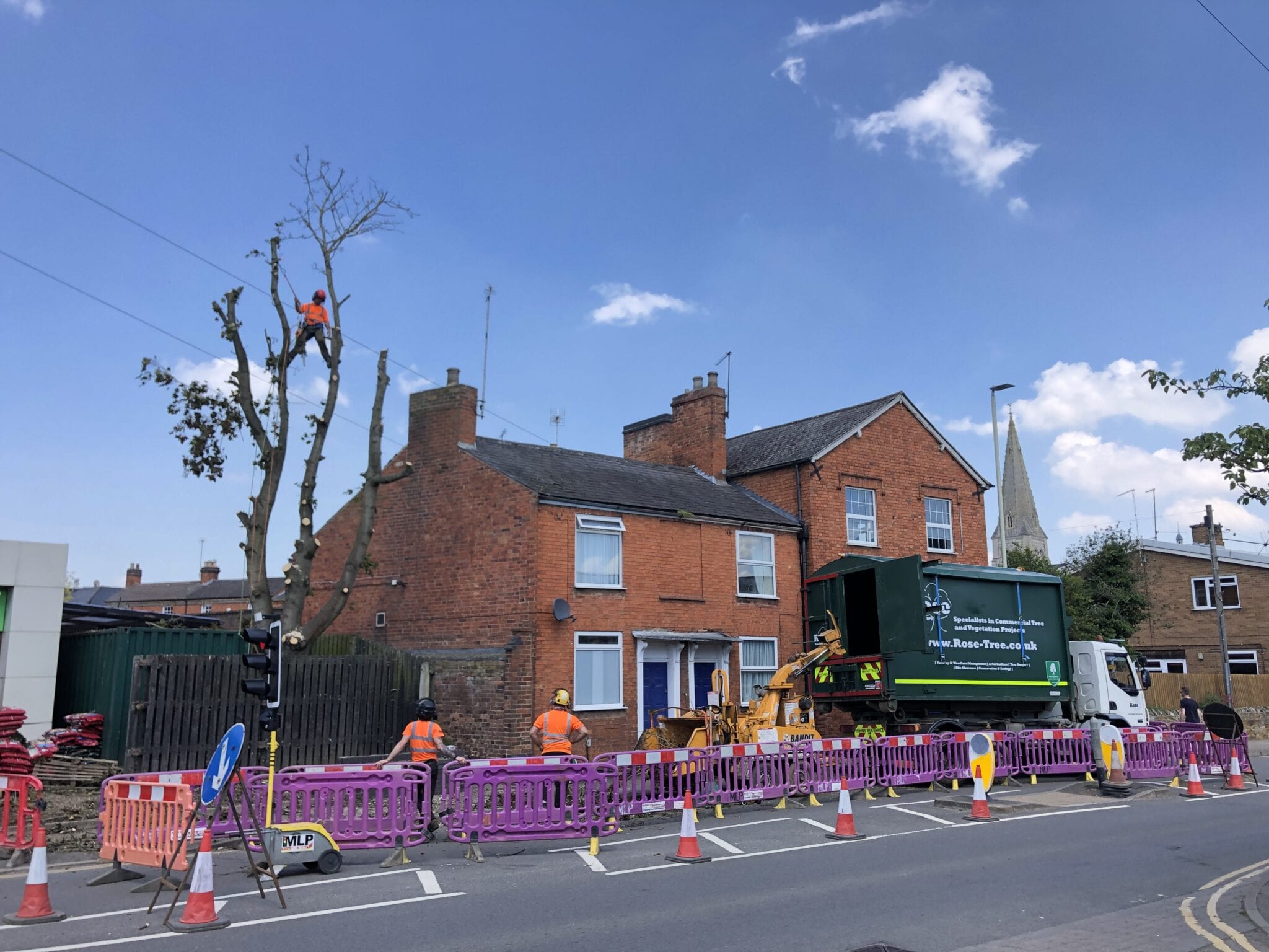 Tree Market Harborough
