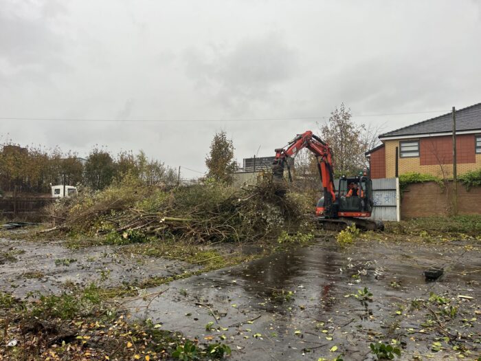 Digger clearing trees