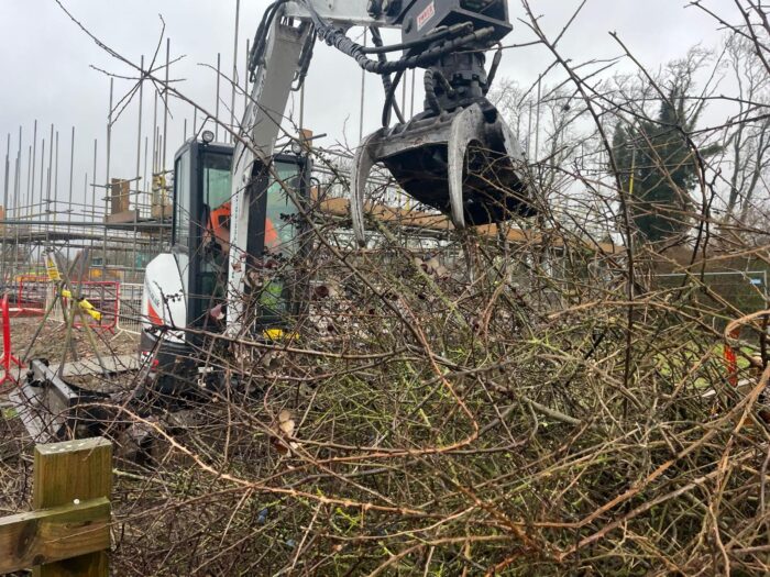 Small area tree clearance.